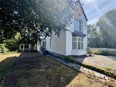 Picture 21